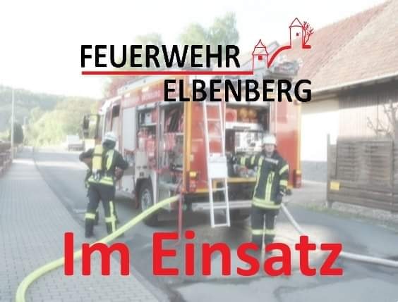 Bild im Einsatz LF Logo