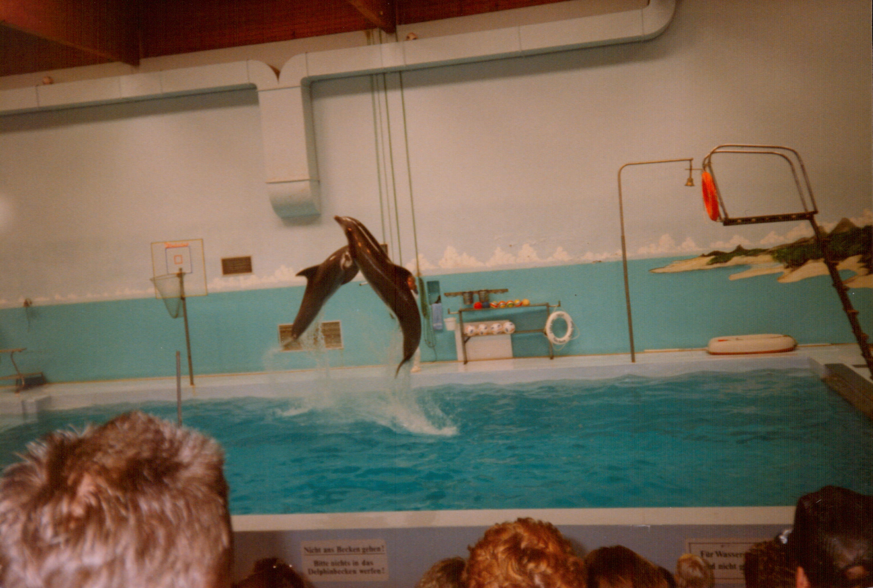 Image 00010