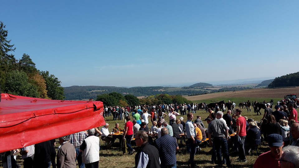 2016 09 25 Schleppjagd in Heimarshausen 1
