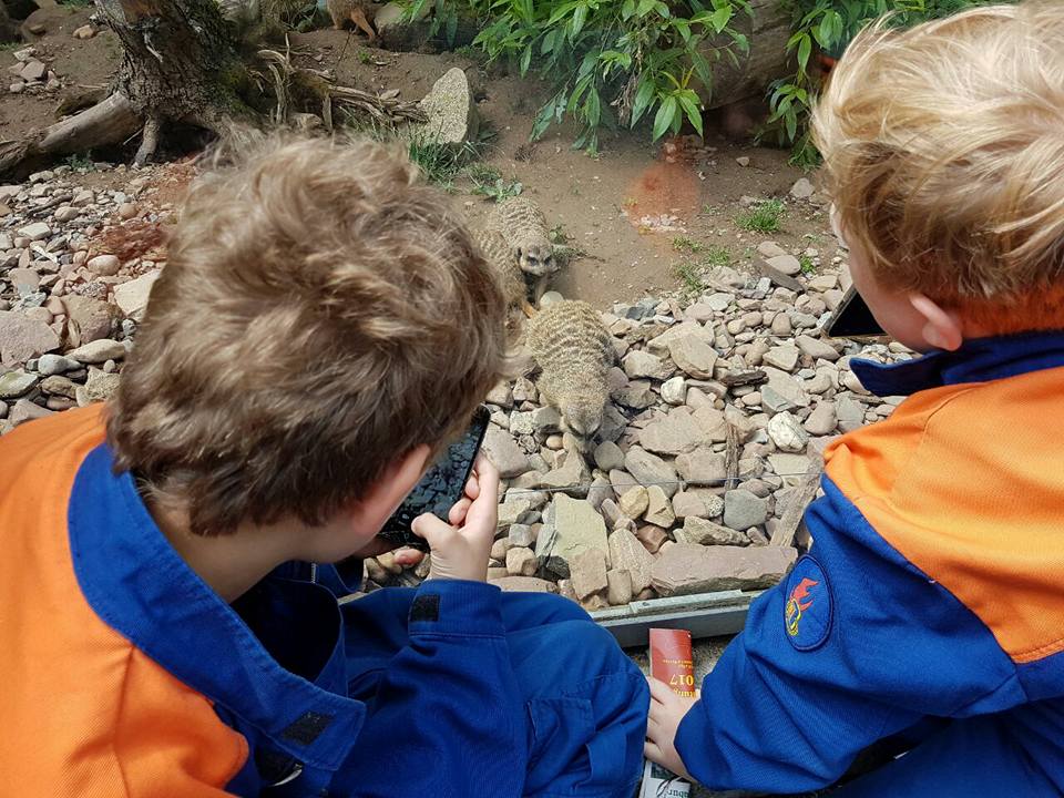 2017 06 05 Jugendfeuerwehr im Tierparkt Sababurg 4