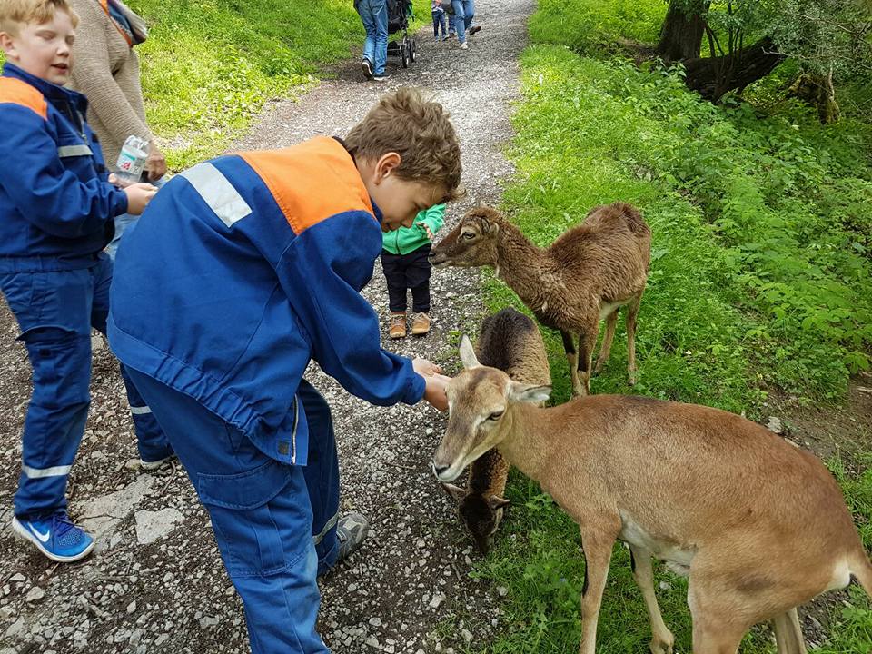 2017 06 05 Jugendfeuerwehr im Tierparkt Sababurg 5