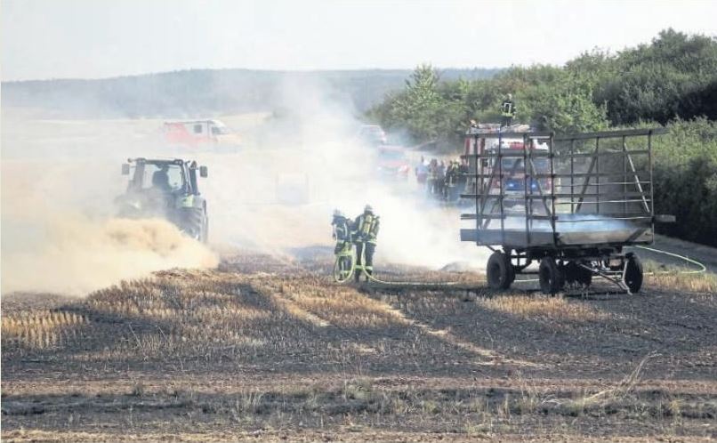 Stoppelfeldbrand Bild