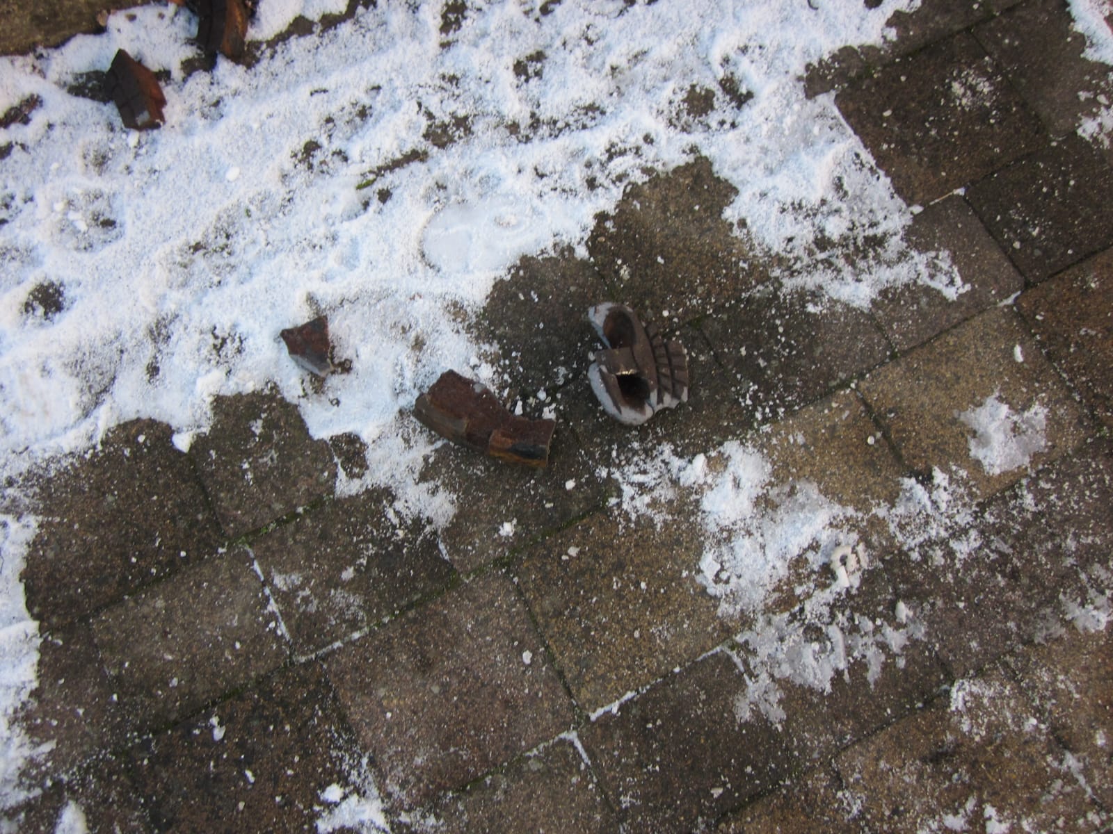 2019 01 20 Bild 08