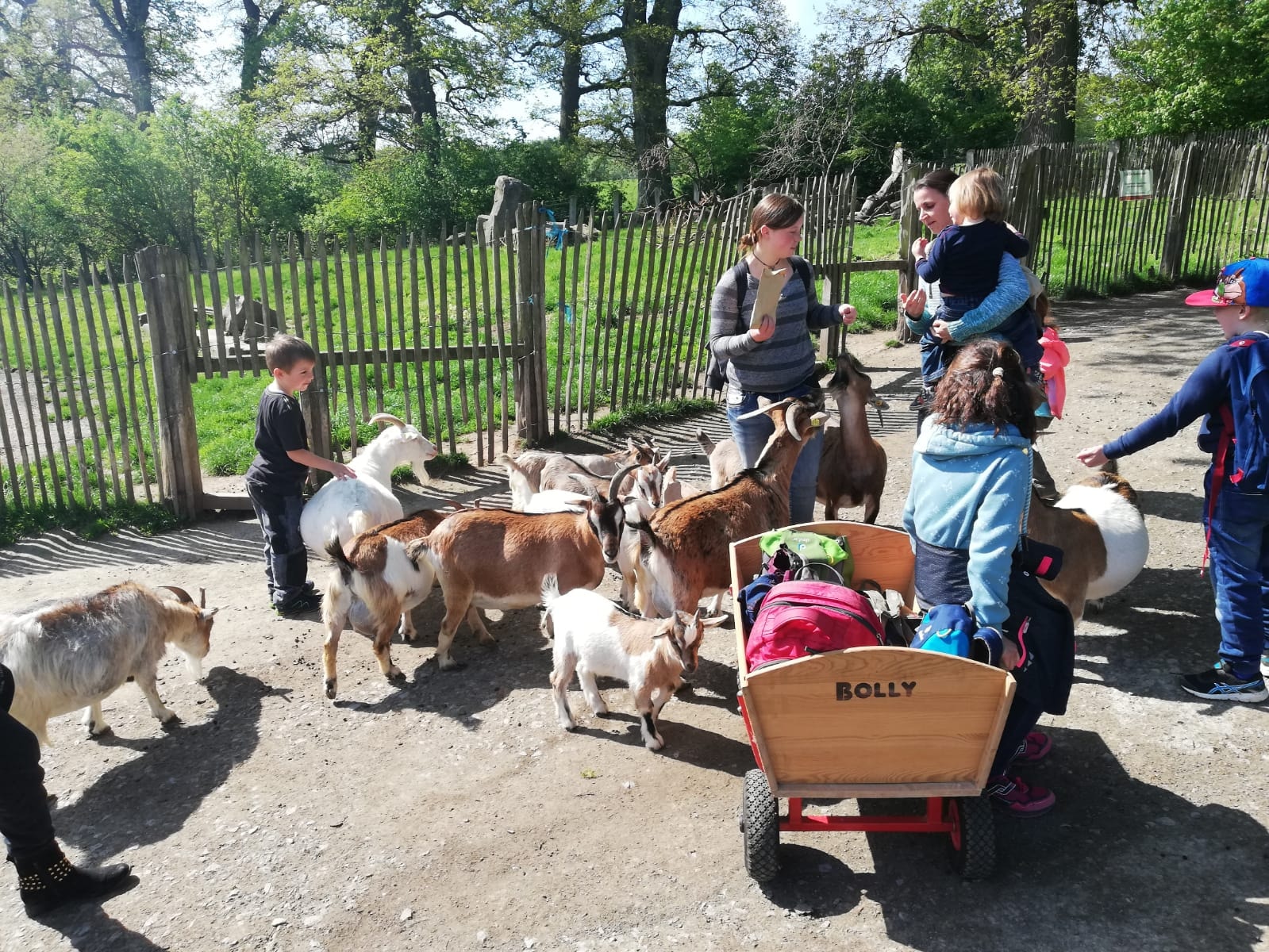 2019 05 26 Kinder und Jugendfeuerwehr besuchen Tierpark Sababurg Bild 2