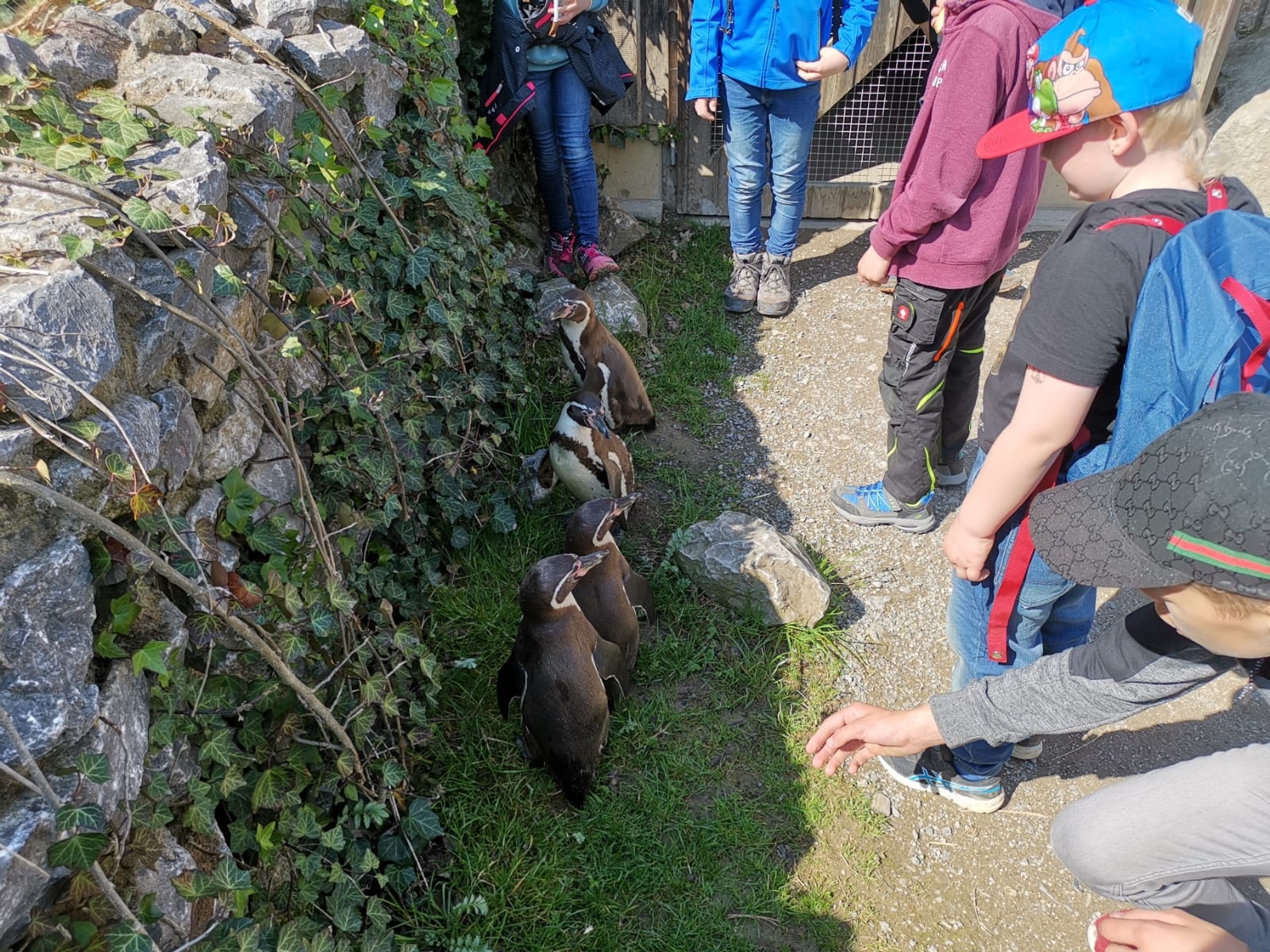 2019 05 26 Kinder und Jugendfeuerwehr besuchen Tierpark Sababurg Bild 5