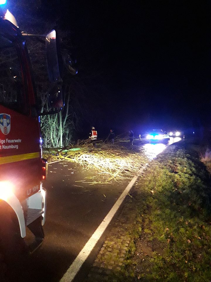 2019 12 14 Einsatz Baum auf Straße Bild1