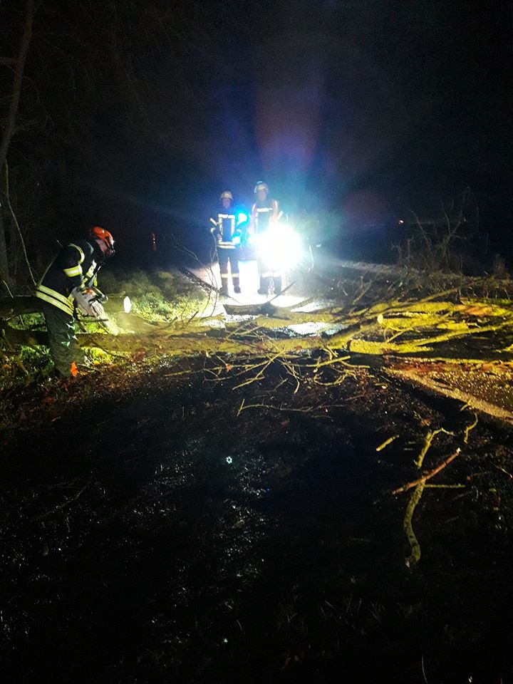 2019 12 14 Einsatz Baum auf Straße Bild2