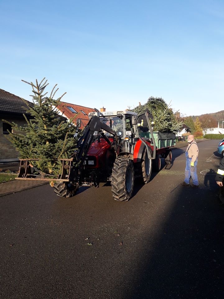 2020 01 11 Weihnachtsbaumsammelaktion der Jugendfeuerwehr Bild 02