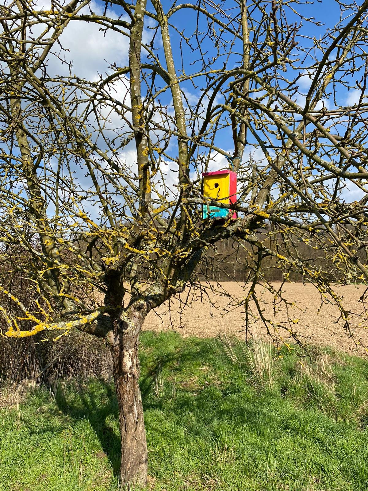 2023 04 29 Nistkästen von Kinder und Jugendfeuerwehr gebaut Bild 3