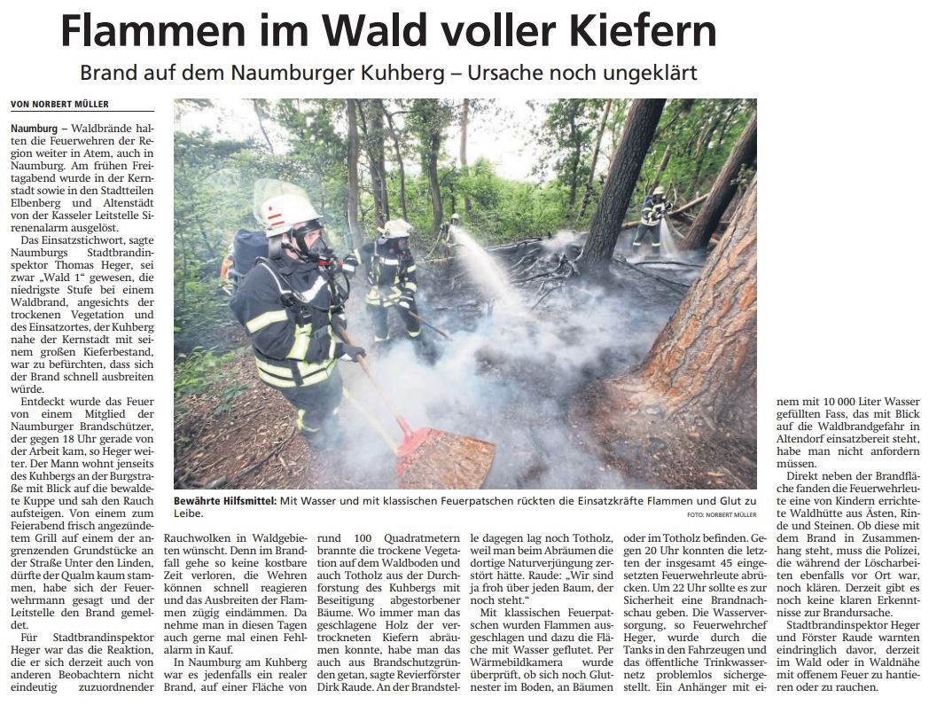 2023 06 19 Flammen im Wald voller Kiefern Artikel