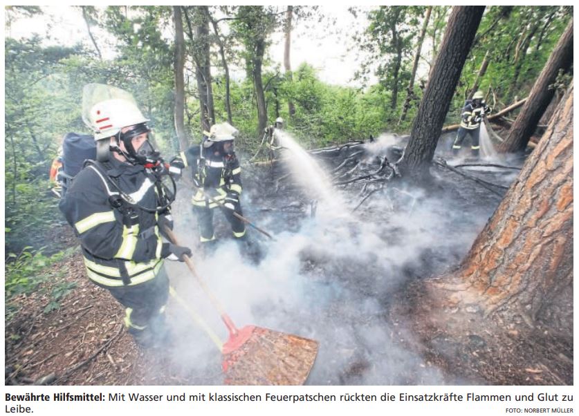 2023 06 19 Flammen im Wald voller Kiefern Artikelbild